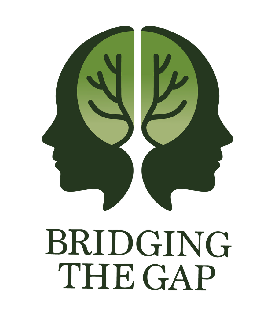 Bridging the Gap
